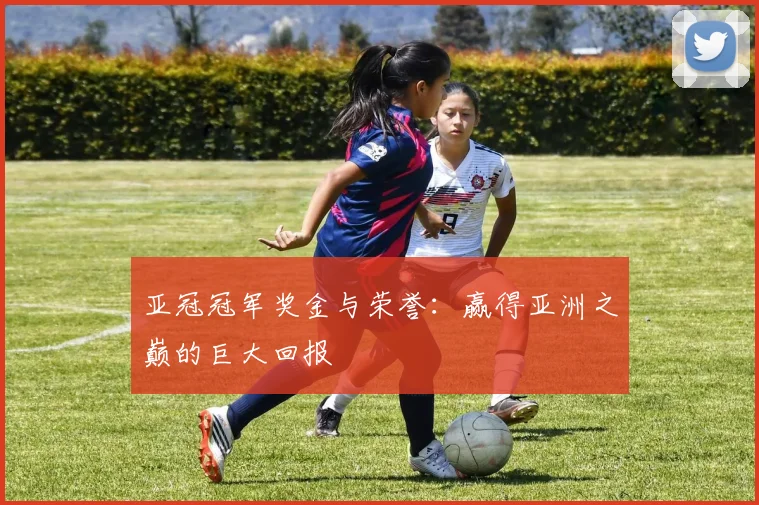 亚冠冠军奖金与荣誉:赢得亚洲之巅的巨大回报