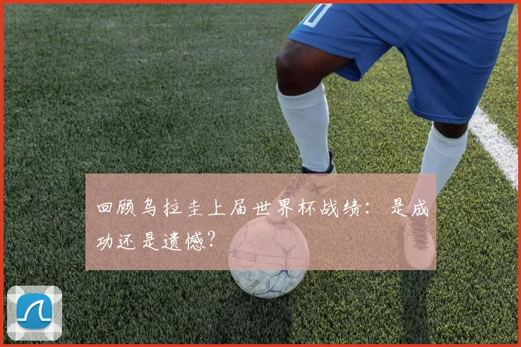 回顾乌拉圭上届世界杯战绩:是成功还是遗憾?